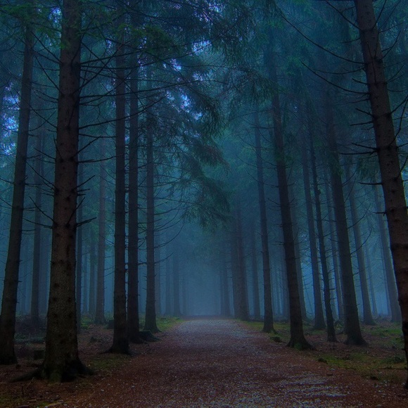 Meet your Posher, Jade - Picture 1 of 1